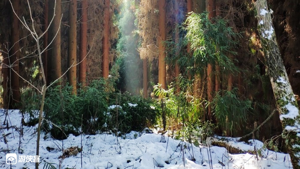 【48元特惠·太阳湾】1.3元旦冰雪太阳湾，走进彭州瑞雪太阳湾，赏雪戏猴看冰瀑，单边5km冰雪森林往返洗肺线路，堆雪人打雪仗冬日玩雪好去处，玩雪休闲1日游