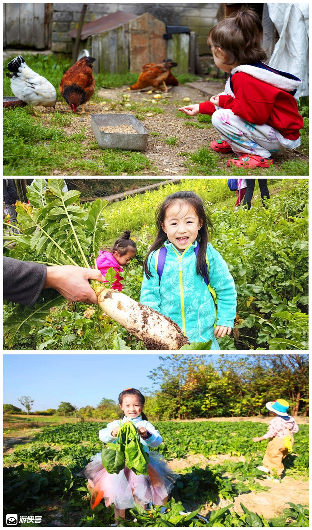 【游侠宝贝-小农场迎新年】春节批次,带娃农场过大年,合家擀皮包饺子,春节福袋DIY,温暖大棚摘草莓,乐趣投喂小动物,拔萝卜,摘蔬菜,土鸡土鸭农家餐,农家乐里嗨不停