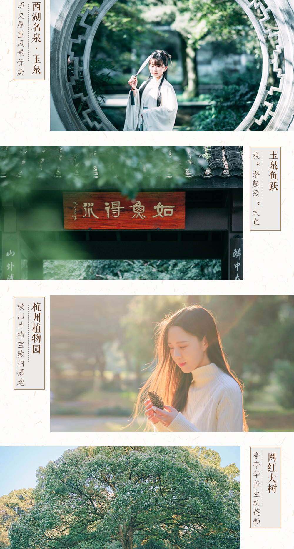 【摄影师带你打卡杭州】漫游宝藏拍摄地“植物园”，感受西湖名泉，探访韩美林艺术馆，重旅行轻旅拍，探秘小众西湖，2-6人旅拍vip小团 - 下单后需电话预约拍摄时间 订单半年有效，摄影呈现师全程跟拍