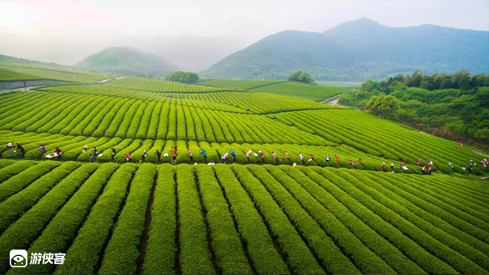 宜兴·油菜花开|玩转宝藏小城,单日赏花摄影休闲游