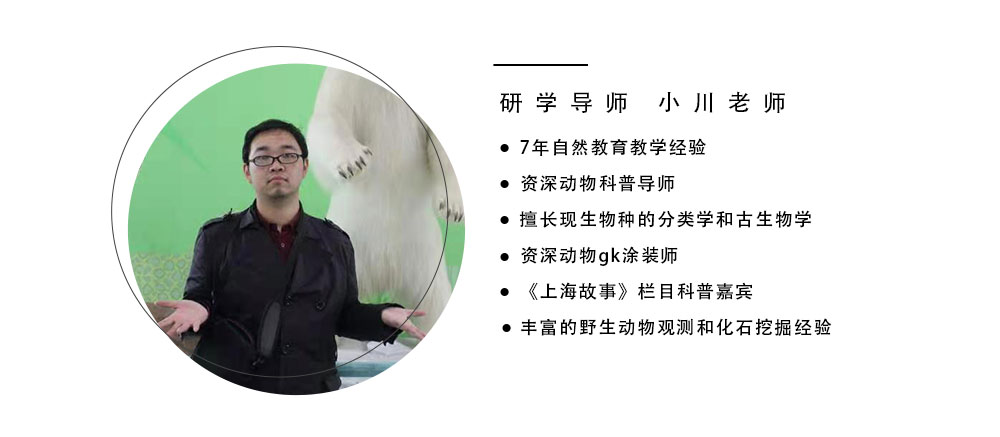 【游侠研学丨自然系列 · 动物探险队】走进自博馆，鸟类大揭秘，了解有角一族，感受非洲动物大迁徙，探索极地动物和澳洲的奇葩动物，看上海城市的发展，探讨人与动物的关系 - <自然博物馆>揭秘动物的神奇习性
