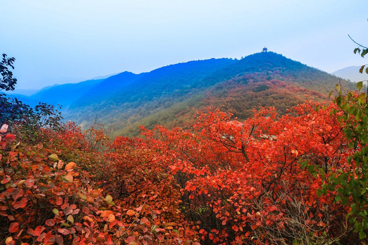 桐柏山红叶风景区图片