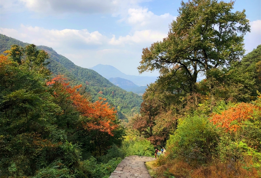 陶宴岭古道图片