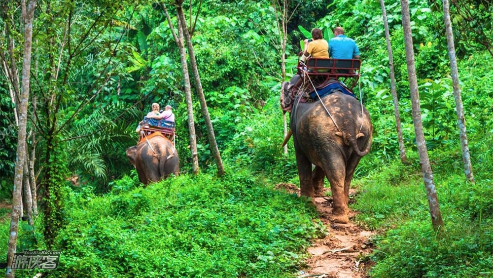 【象岛玩乐 骑象体验】泰国象岛优质大象营,骑大象丛林漫步,与小象