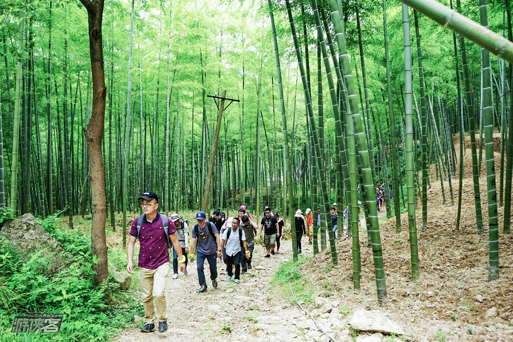 湖州·天字古道 | 踏古寻幽，竹海听风，深山古刹