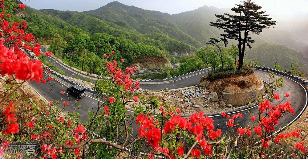 【大别山春色】4-5月,马鬃岭/安徽天堂寨/白马大峡谷/燕子河大峡谷,行