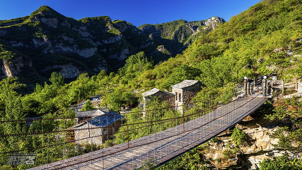 【万亩の花海-坡峰岭】5.