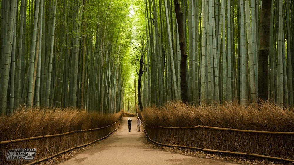 日式榻榻米(可升级京都町屋) 露天泡汤 市区住宿,古风citywalk 飞鸟