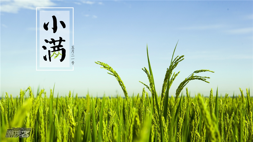 【二十四节气之·夏长】5.