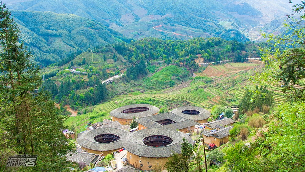 【永福樱花】2-3月花期:广州,深圳出发,市井厦门寻美食-南靖田螺坑