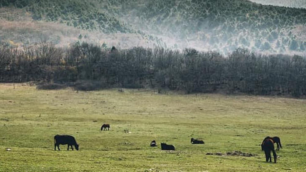 <a target='_blank' href='https://bbs.youxiake.com/mdd/862.html'>俄罗斯</a>