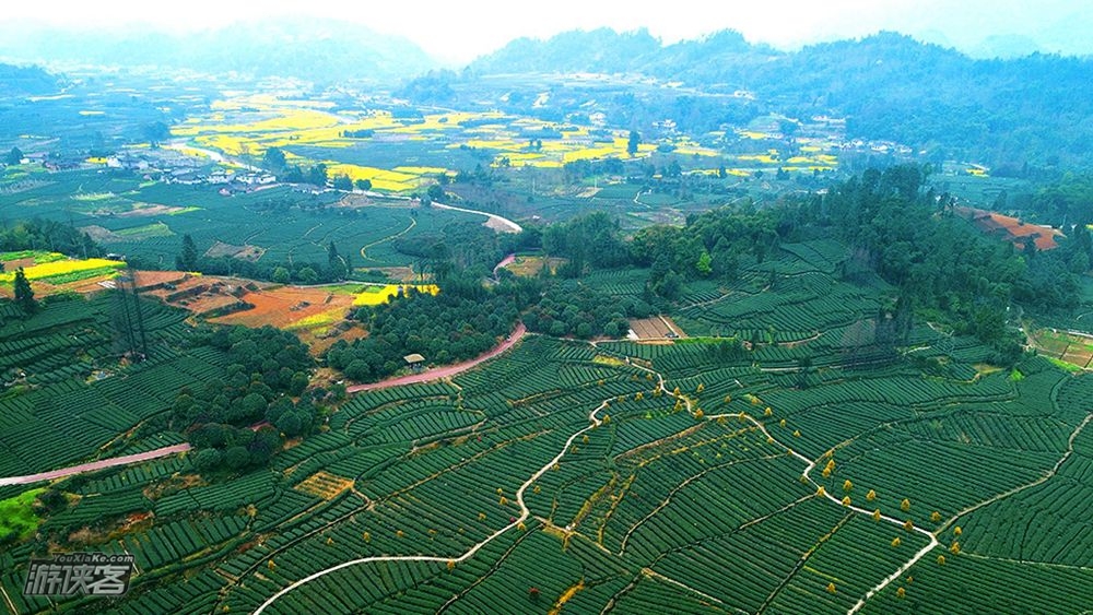 【60元·夹关茶山】5.