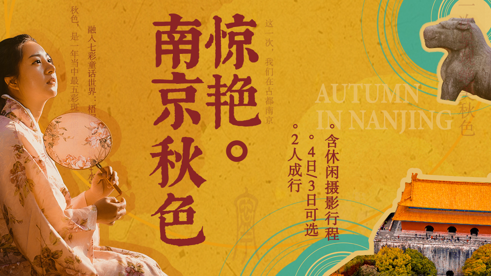 梧桐树攻略