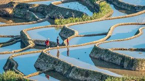 亲子·奇遇滇东南6日 | 解锁云南暖冬,邂逅元阳梯田