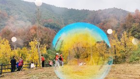 银杏红枫·诸暨灵山坞 轻徒长春古道,漫步银杏山谷