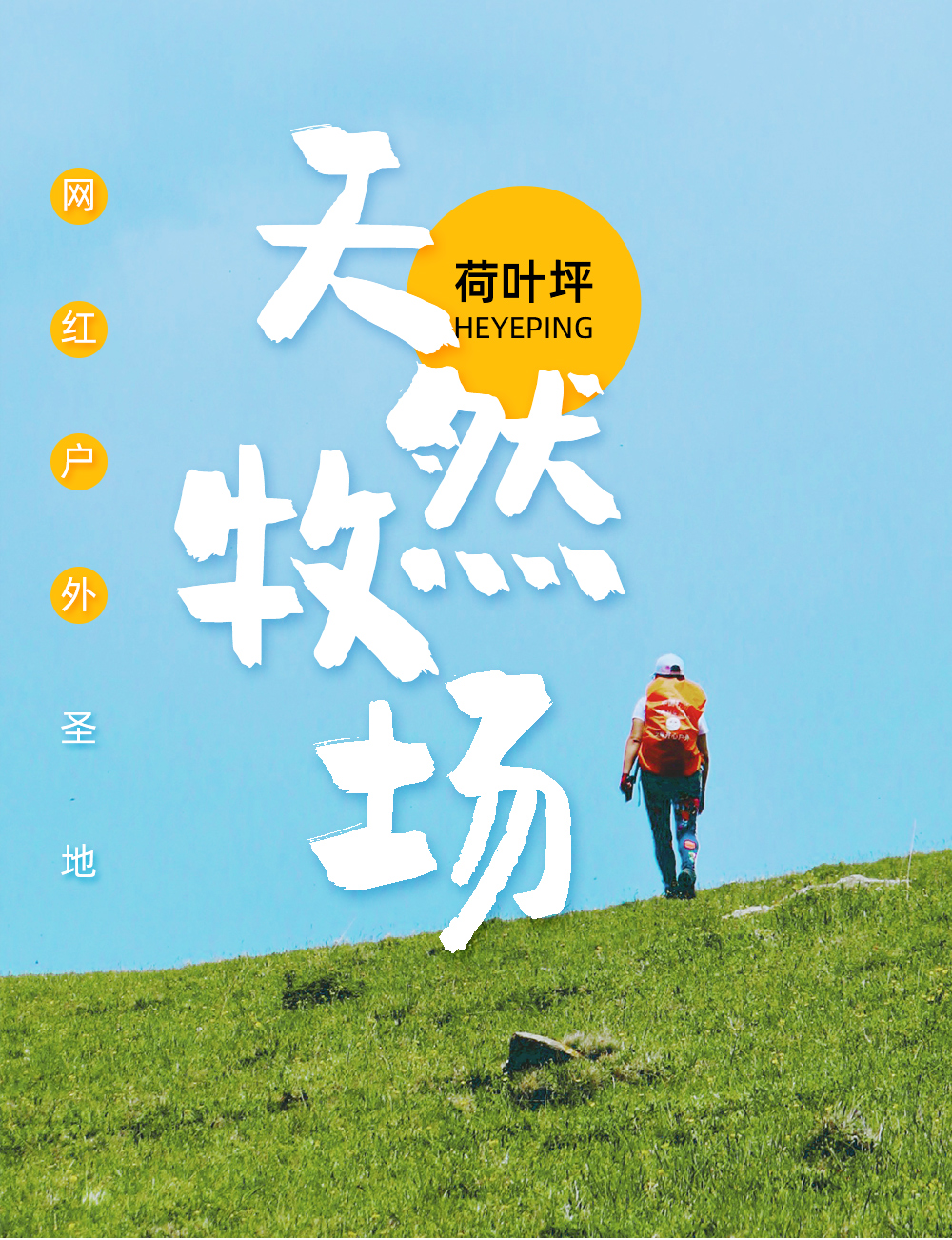 【网红户外·荷叶坪】轻徒步华北亚高山草甸，打卡网红户外荷叶坪（单日户外，休闲娱乐） - <荷叶坪>春草漫漫，夏花紫意，秋色缤纷，冬枝白首，四季网红打卡目的地！