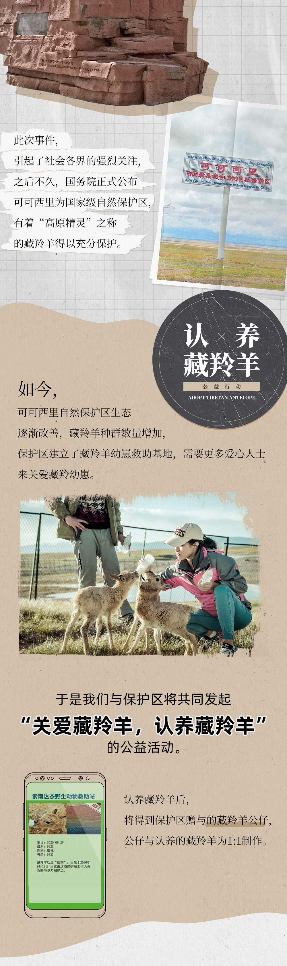 【可可西里公益行 · 认养藏羚羊】7.3-7.9 藏羚羊产仔季，越野车深入可可西里：藏羚羊产仔地“卓乃湖”/野生动物频繁出没地“新生湖”/与雪山交相辉映的“库赛湖”！ - 联合可可西里自然保护区官方，捐助认养藏羚羊幼崽，颁发“可可西里公益志愿者”证书。