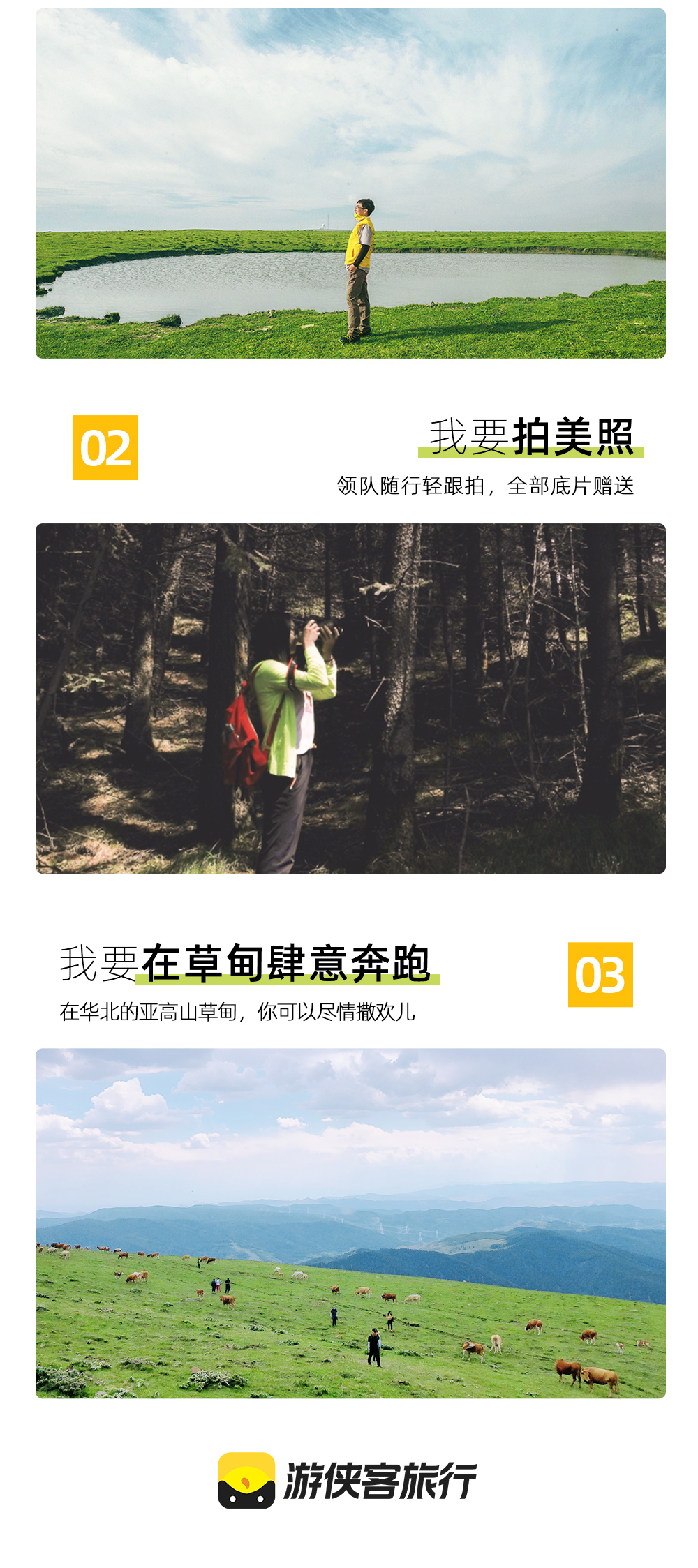 【网红户外·荷叶坪】轻徒步华北亚高山草甸，打卡网红户外荷叶坪（单日户外，休闲娱乐） - <荷叶坪>春草漫漫，夏花紫意，秋色缤纷，冬枝白首，四季网红打卡目的地！