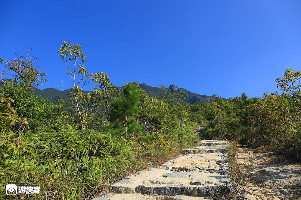 深圳第二峰丨七娘山一日登高，赏大鹏半岛美景