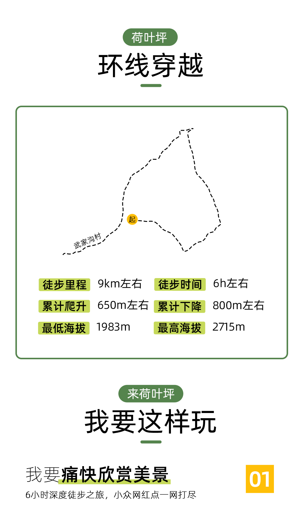 【网红户外·荷叶坪】轻徒步华北亚高山草甸，打卡网红户外荷叶坪（单日户外，休闲娱乐） - <荷叶坪>春草漫漫，夏花紫意，秋色缤纷，冬枝白首，四季网红打卡目的地！