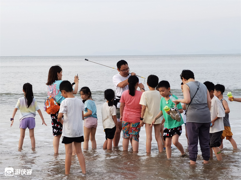 游侠研学·岱山岛|海岛探秘,带你了解海洋生态环境