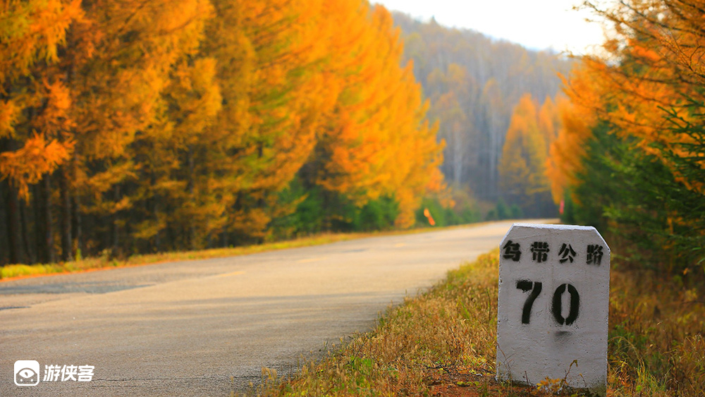 金秋小兴安岭7日丨伊春林海 穿越G331边境公路