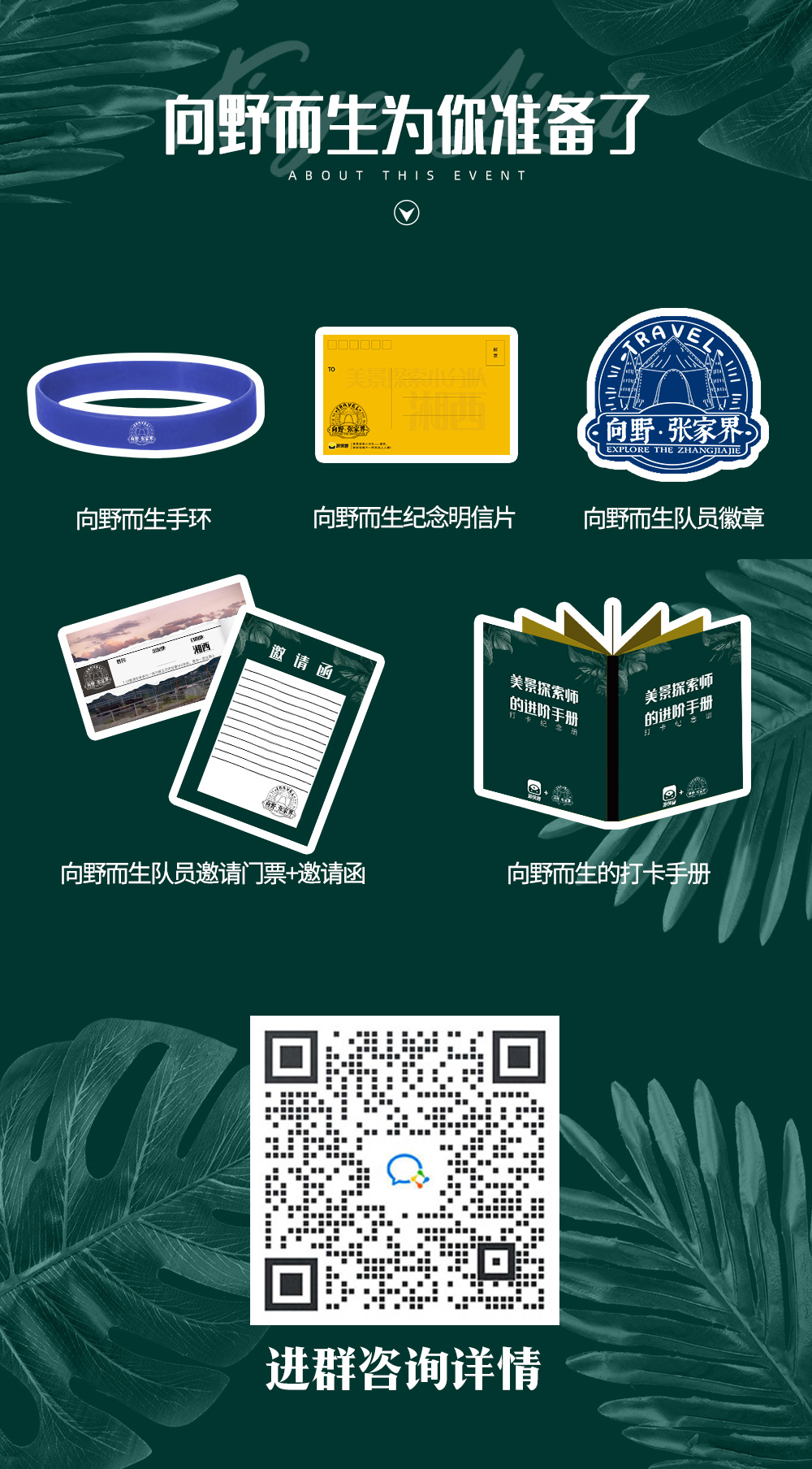 【向野而生·张家界】3晚连住张家界野奢品牌美宿，张家界小众露营回归自然，山间茶道品地道莓茶，清晨放松瑜伽疗愈，BBQ冷餐开启野食代，凤凰古镇品非遗蜡染，湖南5日4晚轻奢游 - <向野而生·张家界>全程线上管家+线下陪玩官拍照服务，赠送接送机，舒适玩转张家界