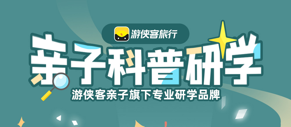 亲子·国家宝藏|陕西历史博物馆2.5h历史漫游 - <不含门票>走进陕西历史博物馆（不含壁画馆），跟随导师漫游历史长河，让孩子成为国宝代言人，重回盛唐秦汉讲述辉煌历史！