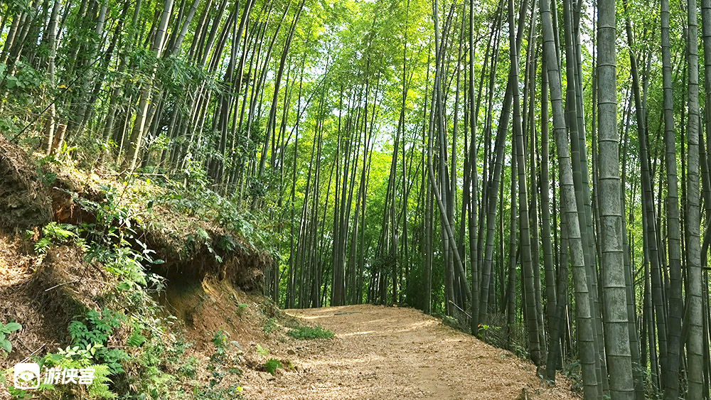 萧山集合·浙版哀牢山 登顶海拔1095米西白山