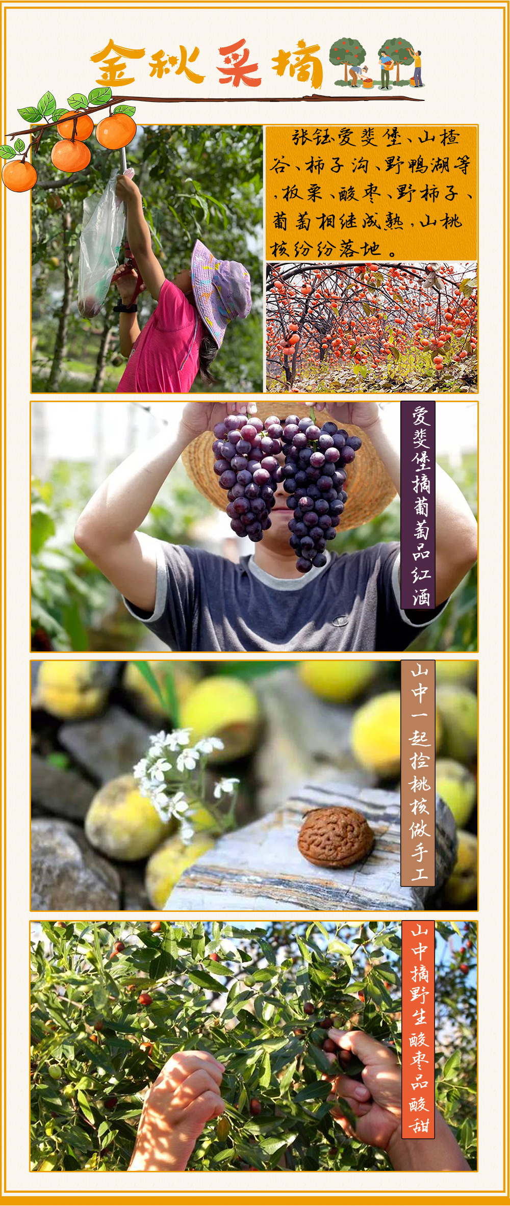 【砍价特惠·游舞彩浅山】11月13日砍价进行时，0元参与，抓住时机 ，一起免费赏帝都秋色，顺义舞彩浅山徒步，栈道之上寻找仅存的红叶，深秋1日徒步（观赏期已过介意慎报） - <休闲赏秋>秋高气爽秀美舞彩浅山/绿野仙踪寻红叶