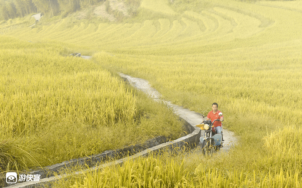 连南秋摄 · 金秋欧家梯田+油岭瑶寨,人文风光2日