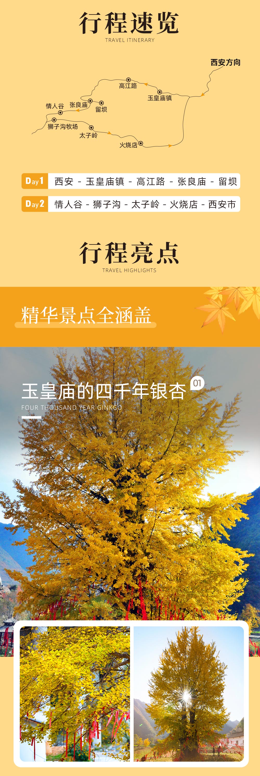 【秦岭秋色·汉中留坝2日】（自驾/拼车）秋天赏景好去处，千年银杏树/醉美高江公路/浪漫情人谷/火烧店小镇/太子岭红叶全景/狮子沟牧场，满足您对秋景所有遐想！ - <看高山草甸><吃留坝八大碗><秦岭秘境秋色><自驾拼车双套餐>