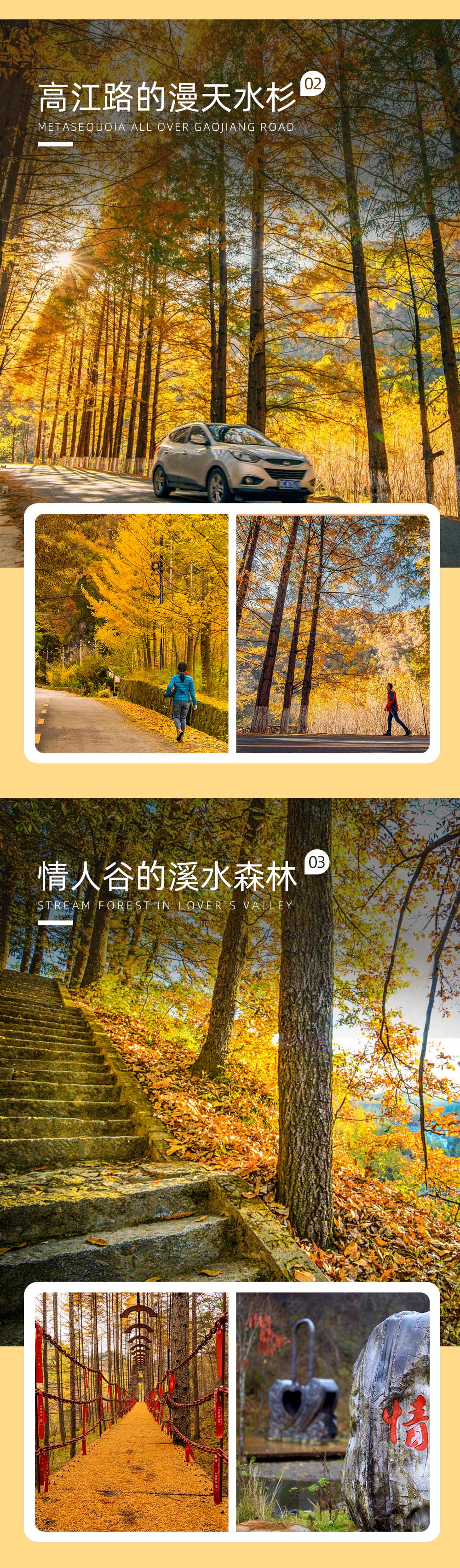 【秦岭秋色·汉中留坝2日】（自驾/拼车）秋天赏景好去处，千年银杏树/醉美高江公路/浪漫情人谷/火烧店小镇/太子岭红叶全景/狮子沟牧场，满足您对秋景所有遐想！ - <看高山草甸><吃留坝八大碗><秦岭秘境秋色><自驾拼车双套餐>