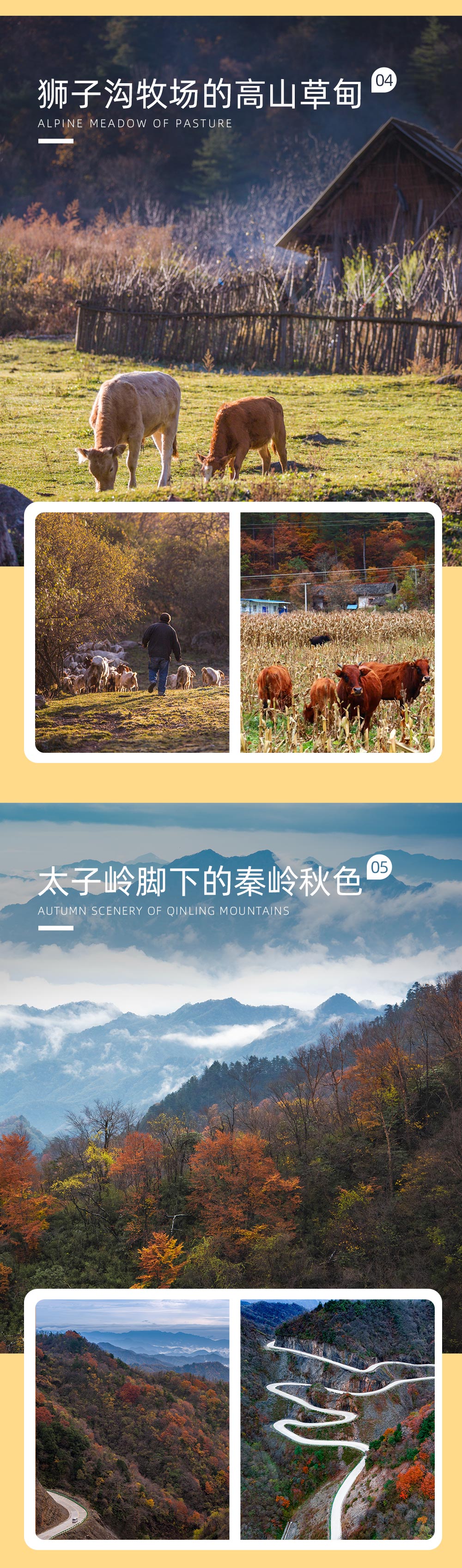 【秦岭秋色·汉中留坝2日】（自驾/拼车）秋天赏景好去处，千年银杏树/醉美高江公路/浪漫情人谷/火烧店小镇/太子岭红叶全景/狮子沟牧场，满足您对秋景所有遐想！ - <看高山草甸><吃留坝八大碗><秦岭秘境秋色><自驾拼车双套餐>