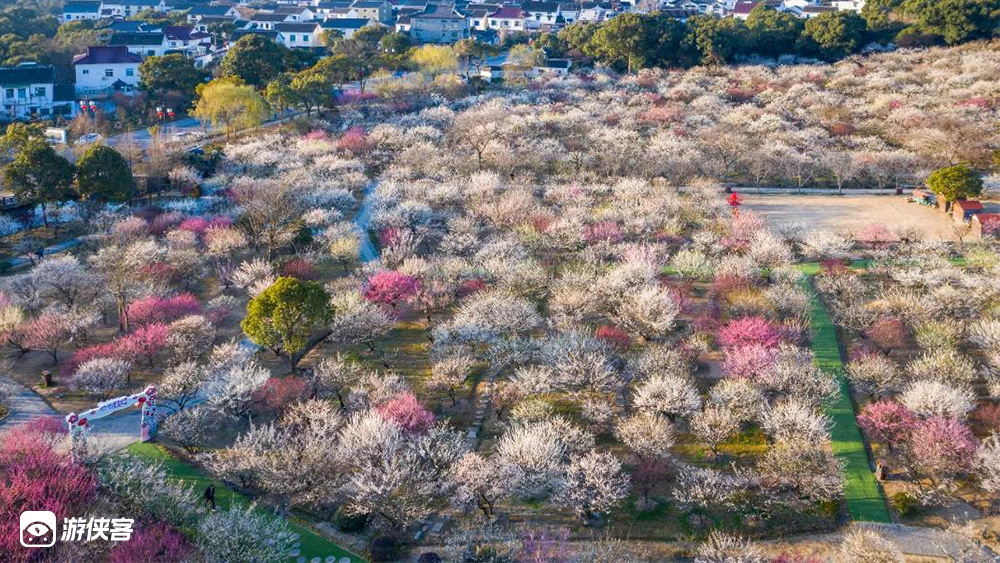 【骑遇香雪海】3.19周六,梅花盛开,势若雪海,邓尉探梅,骑行太湖蓝;绿色环保出行,避开拥堵路段,解决停车难点;特设休闲组+挑战组,骑行里程可选,送定制挂件(车辆勾选)