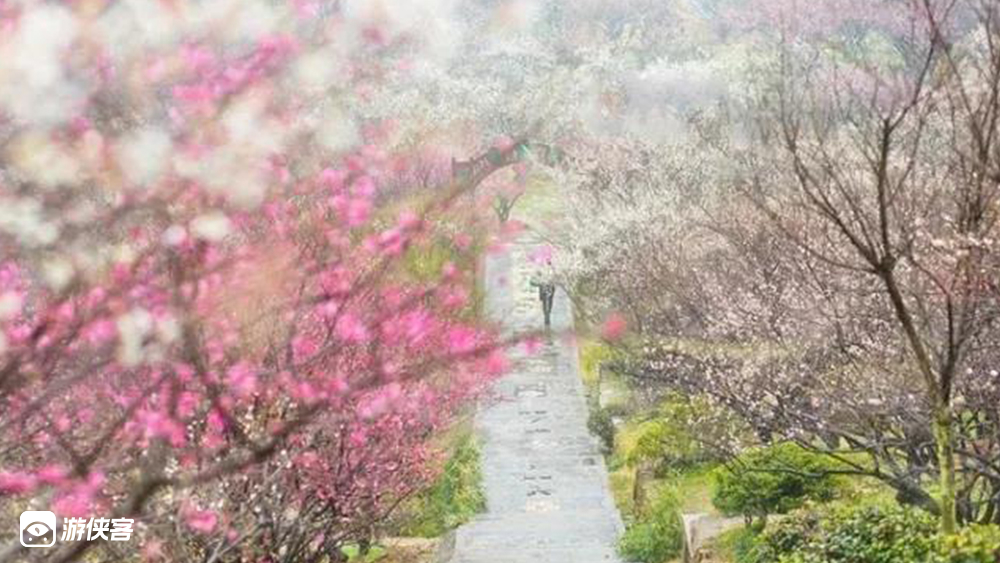 【骑遇香雪海】3.19周六,梅花盛开,势若雪海,邓尉探梅,骑行太湖蓝;绿色环保出行,避开拥堵路段,解决停车难点;特设休闲组+挑战组,骑行里程可选,送定制挂件(车辆勾选)