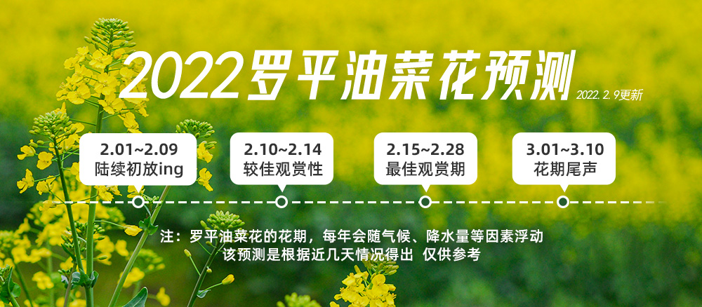 【滇东南早春摄影】元阳梯田（哈尼人文）-元谋土林（光绘摄影）-罗平油菜花（花海人像）-东川红土地（老大爷）-建水古城（双龙桥日出），含2节摄影分享课，云南8日经典行摄之旅 - <昆明集合解散> 40%空座率，上限20人精品团