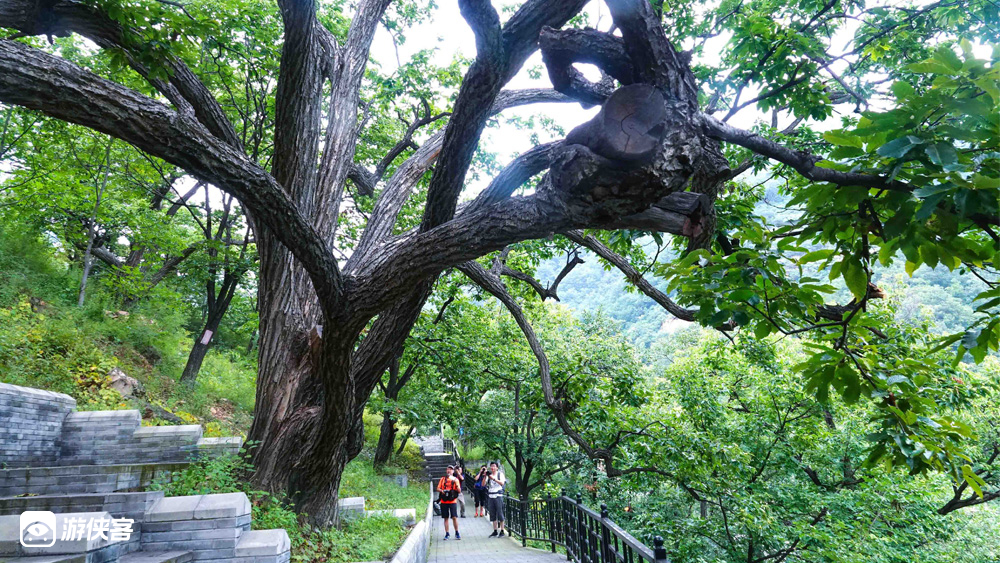 【春日畅游·梨树沟石林峡】2-4月早春踏青,环抱古树,打卡网红山地滑车,恐高挑战石林峡高空UFO玻璃观景台,体验刺激与激情(20人小团/私家团)
