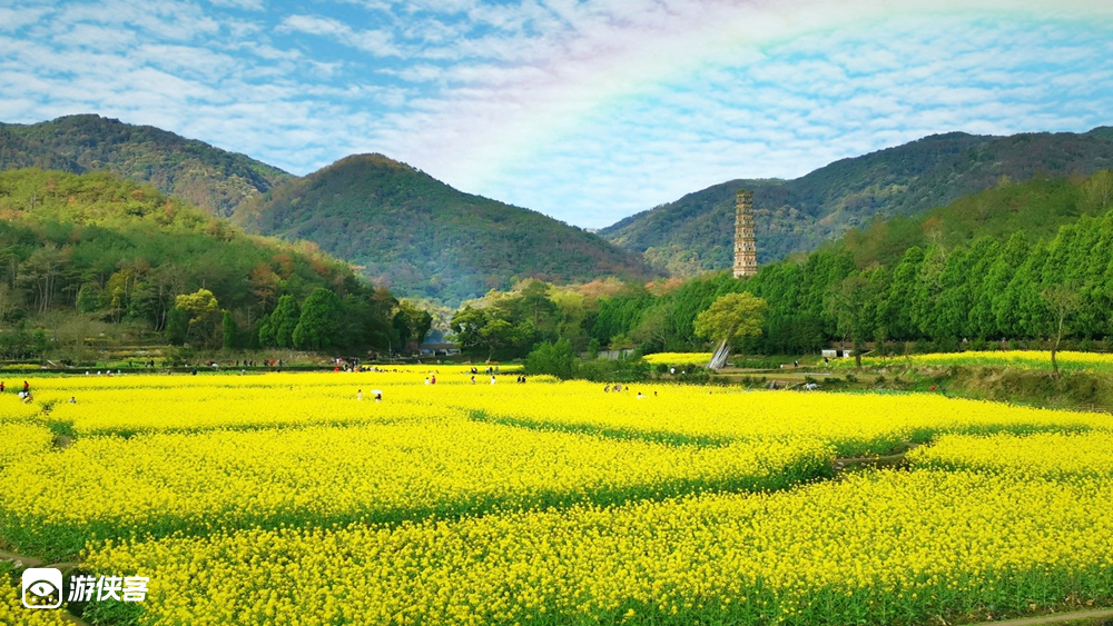【宝藏小城 · 田园天台】日本人向往的旅行地,寻找华东zui治愈的油菜花田/访隋代国清古刹/自制叫花鸡/草木扎染体验/寻味《小森林》餐厅/在地风味巡礼,静心避世2日