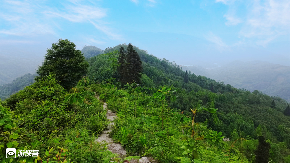 【萤火露营节】7.29-7.30周末,夜寻萤火虫/半山露营台/自助山林BBQ/篝火晚会狂欢/斜源小镇玩水,住进山间,来一场与萤火虫的约会(季节限定露营线路)