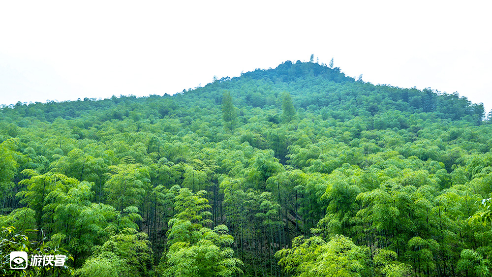 【山野旅行家 · 杭宣古道】打卡安吉网红咖啡馆，探访千年古刹釜托禅寺，品尝寺庙素面，徒步杭宣古道环线，寻觅杭宣古道独松关，东西高山幽涧，南北狭谷相通（需48小时核酸报告）