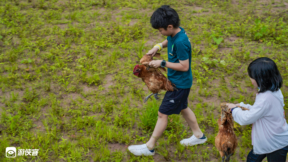 【六一特别活动·乡野大耍事】6月1日,亲手抓鸡做柴火鸡,摸鱼,小船荡漾、亲子互动游戏,自己拔草喂兔子,户外美学植物拓染,和宝贝一起趣野(重庆亲子1日)