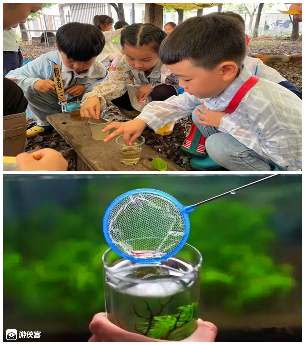 【游侠宝贝-划艇少年2日营】暑期酷玩!竹竿打水弹/脚蹼水桶挑战/相扑斗舞,划艇少年疯玩淀山湖,夜游朱家角,摆渡车环湖游青西,手作蚯蚓农场/海藻球生态瓶,,湿地物种启蒙