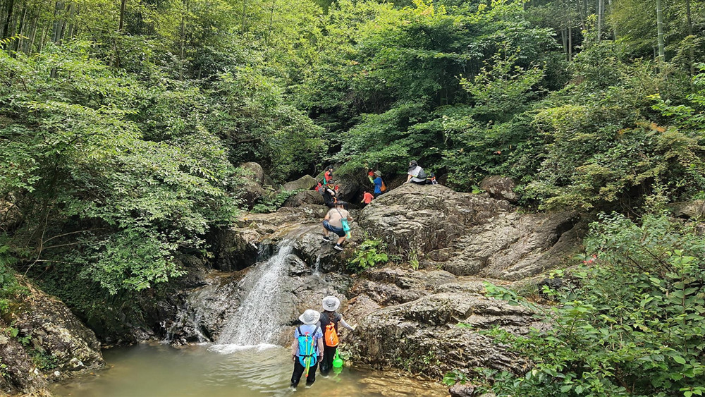 【浦东东体·雪花潭】6-8月，清凉一夏，穷水之源而登山之巅，激情溯溪雪花潭，深入四明山避暑腹地，观茂林修竹、秀峰奇岩、飞瀑流泉（单日溯溪）