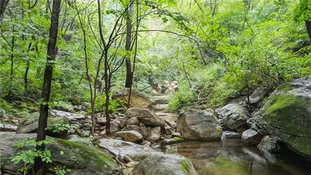 【告别夏日·百泉山】9-10月秋后山泉应景,沿着小溪徒步,听泉水淙淙清脆悦耳,看两侧众多奇峰怪石,秋印浮现百泉山1日徒步环穿