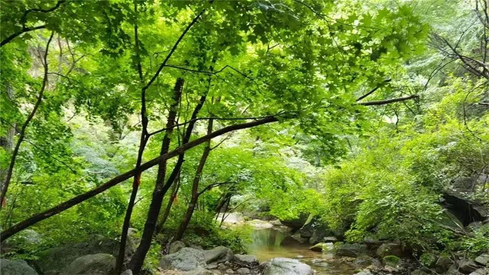 【告别夏日·百泉山】9-10月秋后山泉应景,沿着小溪徒步,听泉水淙淙清脆悦耳,看两侧众多奇峰怪石,秋印浮现百泉山1日徒步环穿