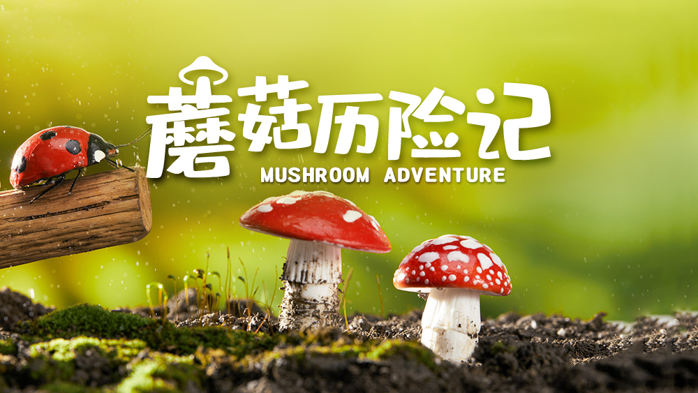 【奇趣自然·蘑菇历险记】跟大咖老师一起寻找蘑菇!