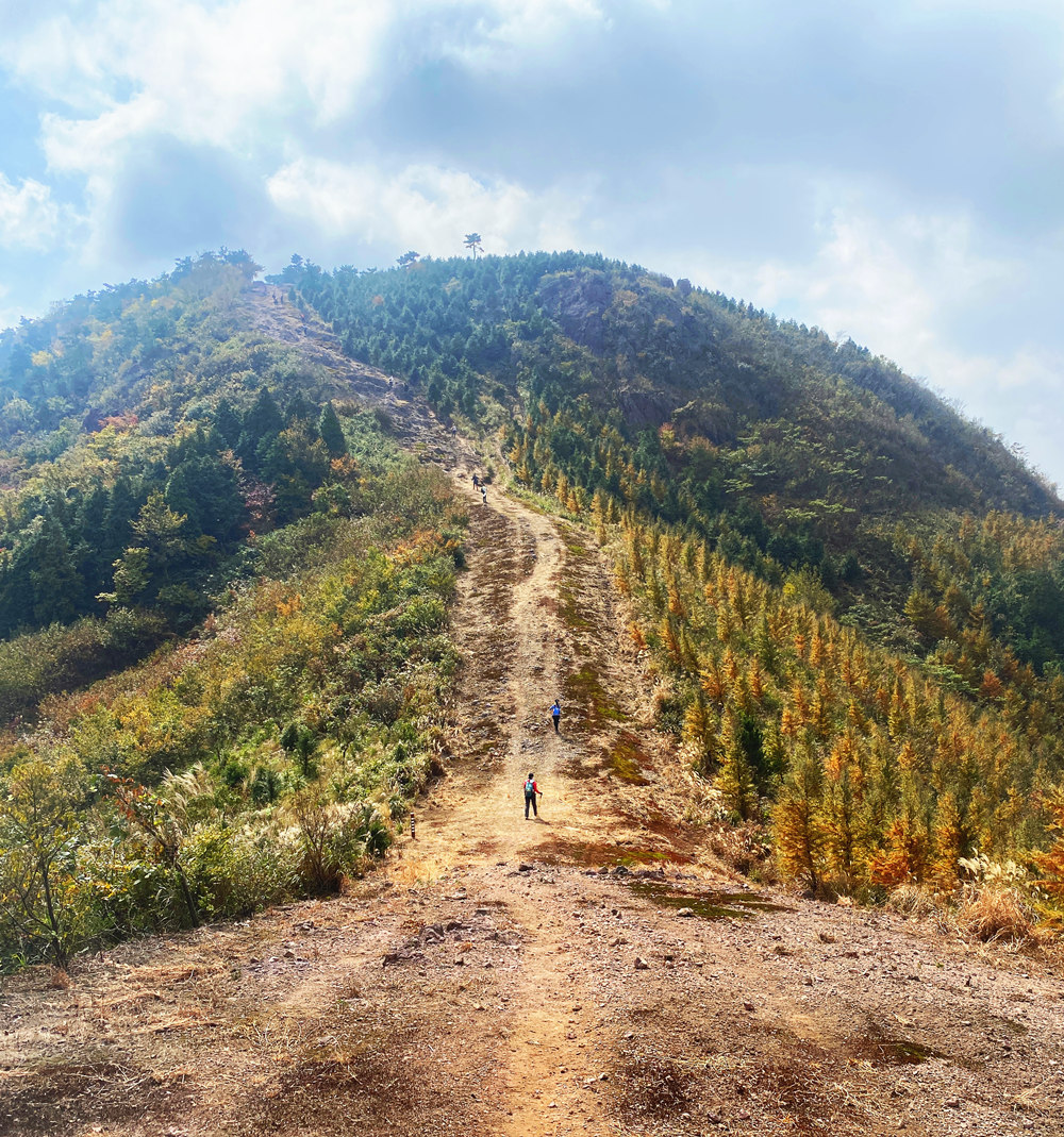 疾速追山·华盖山｜驰骋余姚山野间，遥望四明山脉