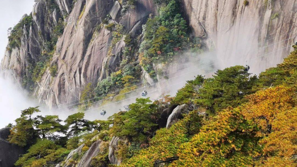 黄山秋色·皖南赏秋小车团3日游