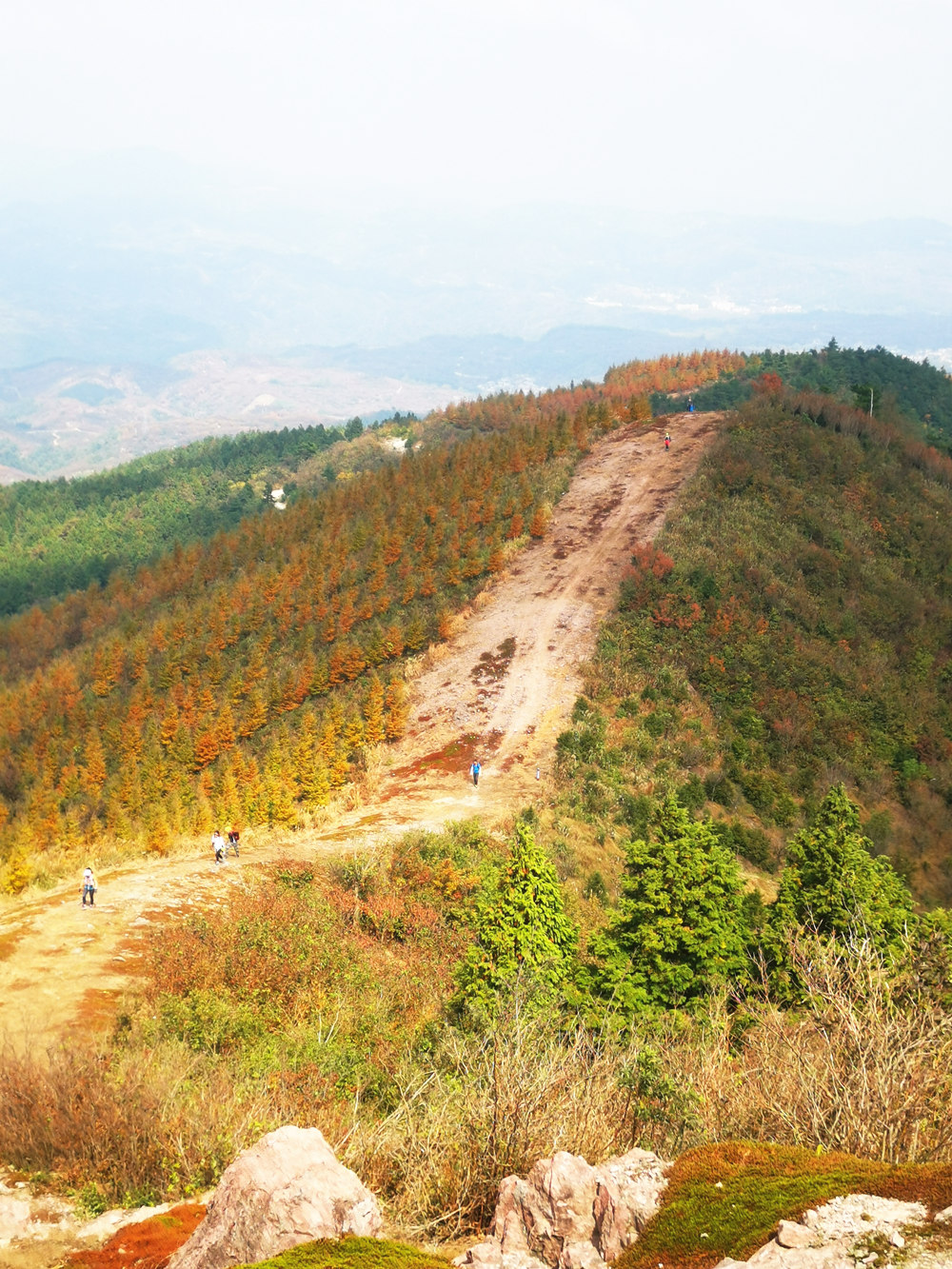 疾速追山·华盖山｜驰骋余姚山野间，遥望四明山脉